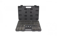Bit Satz  10 mm  75 teilig