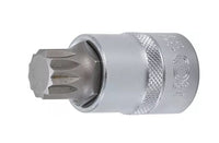 Bit-Einsatz |1/2"  (für XZN) M18