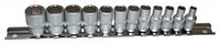 Stecknuss Satz 1/4" 12kant zöllig