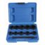 11pcs-hex-twist-socket-set